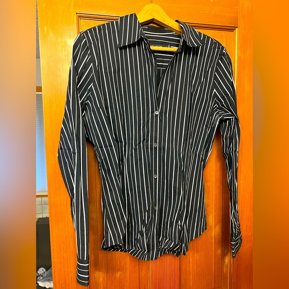 The Limited V-Neck Long Sleeve Botton Down Dress Shirt